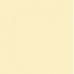Paint and Paper Library Irish Linen Paint